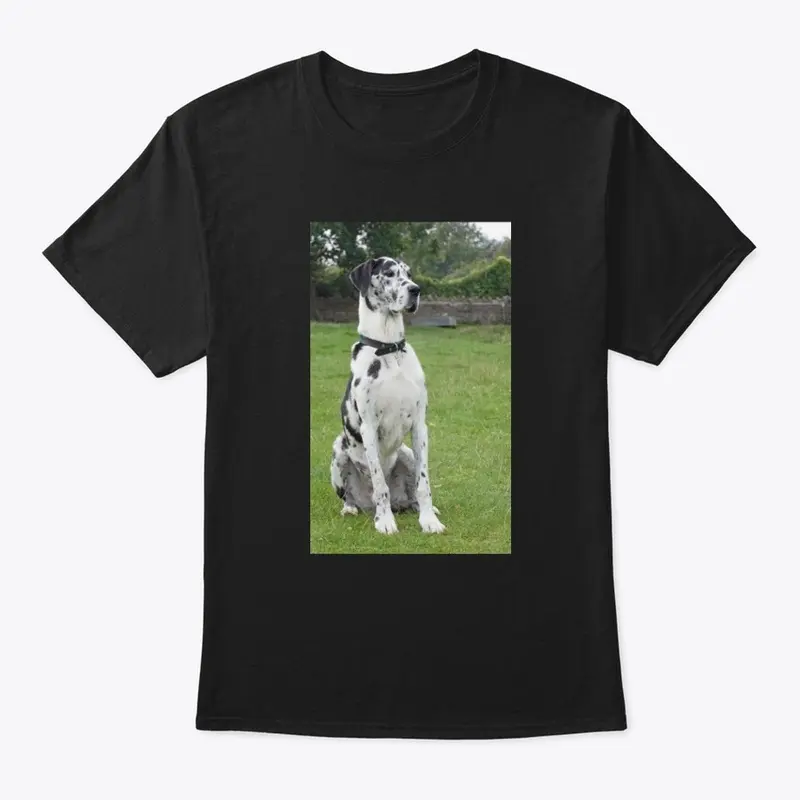 Great Dane T Shirt